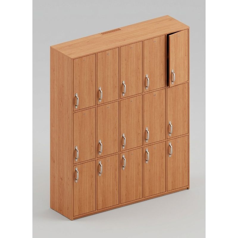 Locker 15 casilleros