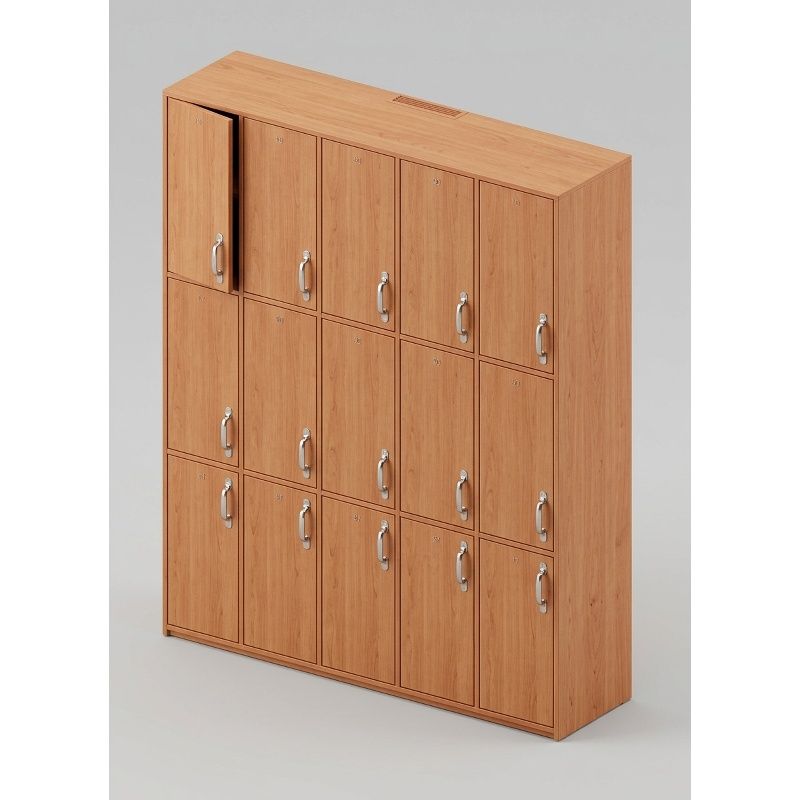 Locker 15 casilleros