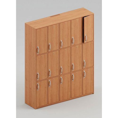 Locker 15 casilleros